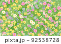お花畑 92538728