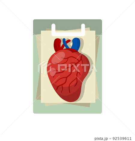 Heart. Human internal organ. 92539611