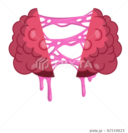 Human brain. Cut organ with pink slime. Human brain. Cut organ with pink slime. 92539625