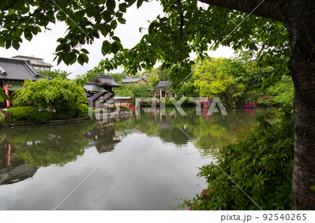 神泉苑 のお池　　京都　日本 92540265