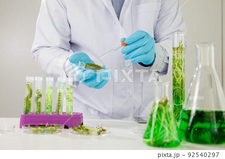 research scientist team working  research and Biotech science Photobioreactor in laboratory of algae fuel, biofuel sustainable biochemical 92540297