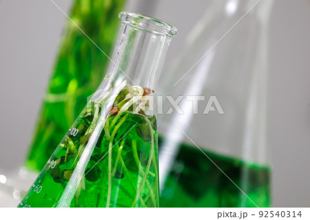 research and Biotech science Scientists are developing research on algae. Bio-energy, biofuel, energy research research and Biotech science Scientists are developing research on algae. Bio-energy, biofuel, energy research 92540314