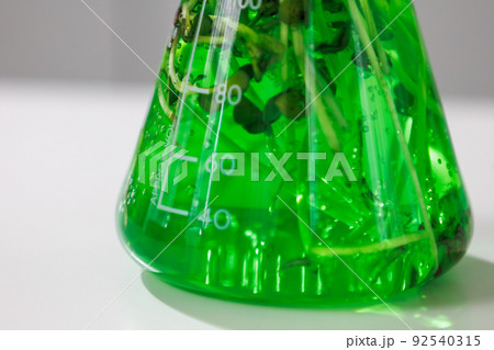 research and Biotech science Scientists are developing research on algae. Bio-energy, biofuel, energy research research and Biotech science Scientists are developing research on algae. Bio-energy, biofuel, energy research 92540315