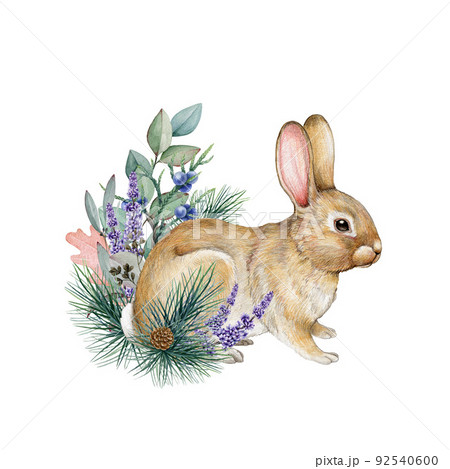 Bunny wintertime floral decoration. Watercolor illustration. Hand drawn cute small rabbit with pine branches, eucalyptus, lavender, juniper. Winter vintage style rustic decor with bunny 92540600