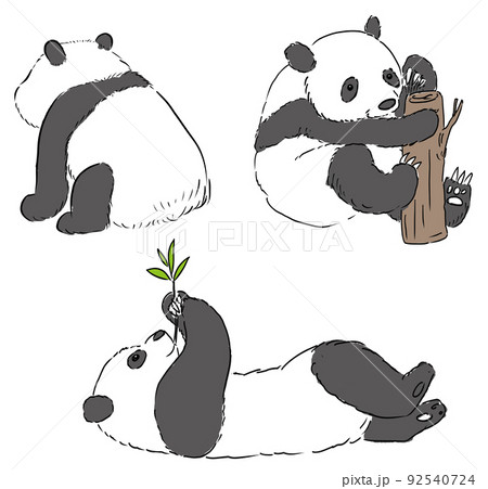 パンダの手描きベクターイラストのイラスト素材