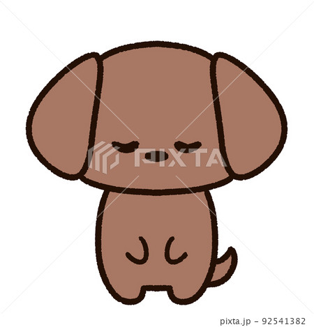 お辞儀をするかわいい犬 ダックスフンド 92541382