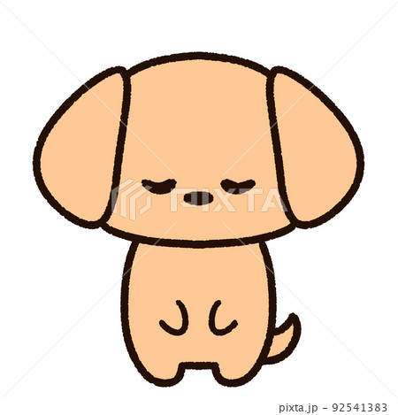 お辞儀をするかわいい犬 ミニチュアダックス お辞儀をするかわいい犬 ミニチュアダックス 92541383