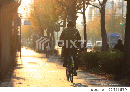 冬の朝、自転車をこぐ男性の後ろ姿の写真 92541630