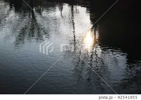 川に写った裸の木と日光の写真 92541955