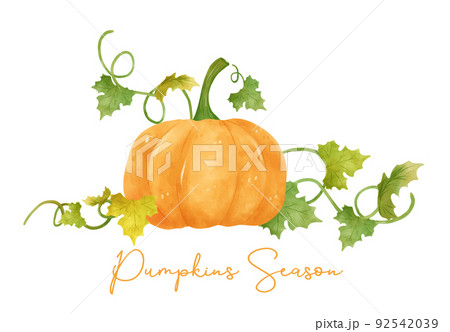 watercolor orange pumpkin with leaf and vine hand drawn painting illustration vector banner 92542039