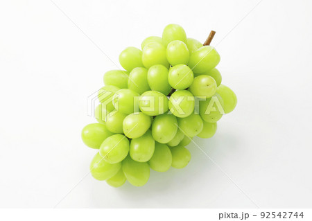 シャインマスカット 92542744