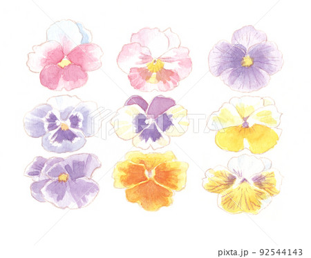 水彩画原画パンジー花の絵 a5a91d369ea775dcbf689898a116d2