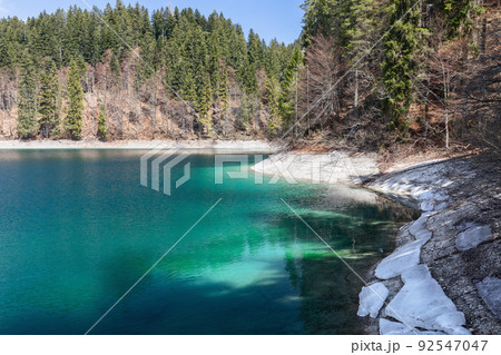 Dense forest of the Alpine mountains reflected in the emerald calm water surface of Tovel lake 92547047
