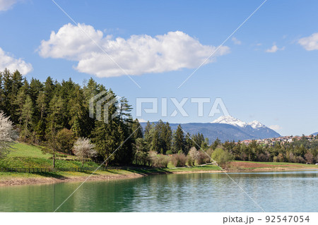 Panorama of Lake Tavon (Lago di Tavon), nearby mountains with snowy peaks, coniferous forest 92547054