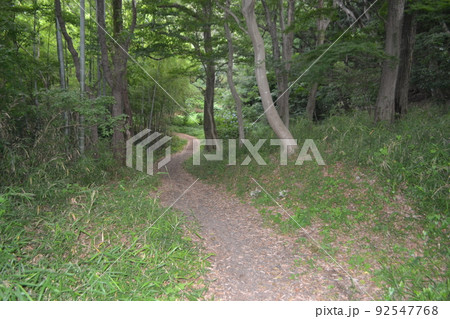 鑓水峠古道 92547768