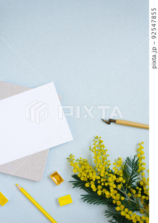 Plain paper, ink stick, yellow, watercolor, flowers of Mimosa. Copy the place for the wedding inscription or greeting card. Copy space for the calligrapher 92547855