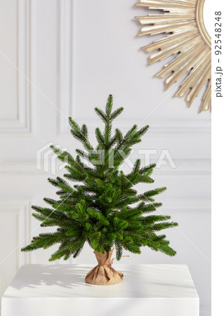Pretty bushy danish Christmas tree without decorations in a large pot wrapped in sackcloth with space for your message on white background Pretty bushy danish Christmas tree without decorations in a large pot wrapped in sackcloth with space for your message on white background 92548248