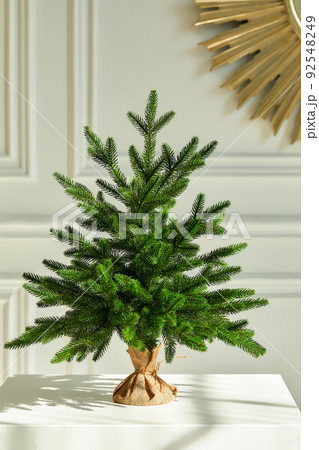 Pretty bushy danish Christmas tree without decorations in a large pot wrapped in sackcloth with space for your message on white background 92548249