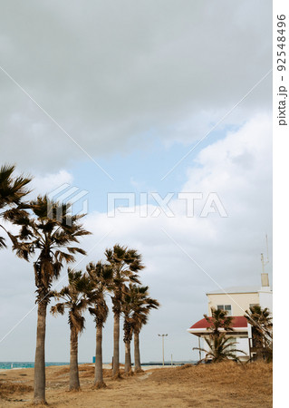 Hyeopjae Beach with palm tree in Jeju island, Korea Hyeopjae Beach with palm tree in Jeju island, Korea 92548496
