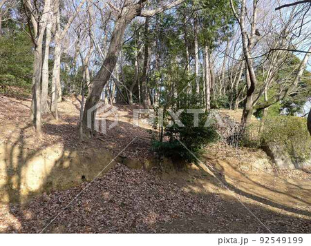 由木城址　　（東京都八王子市） 92549199