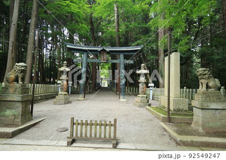 厄除け大神田村神社 厄除け大神田村神社 92549247