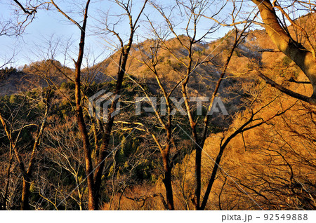 山地を染める朝日　丹沢の大山三峰山 92549888