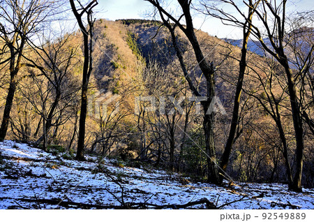 丹沢の大山三峰山より雪の山地に朝日の辺室山 92549889