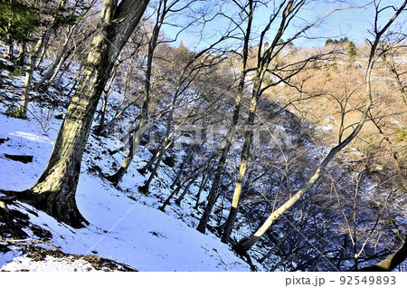 丹沢の辺室山 雪稜の辺室山縦走コースより能ノ爪を望む 丹沢の辺室山 雪稜の辺室山縦走コースより能ノ爪を望む 92549893