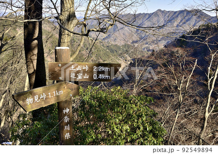 丹沢の辺室山 辺室山縦走コースより相州アルプスを望む 丹沢の辺室山 辺室山縦走コースより相州アルプスを望む 92549894