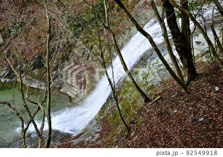 丹沢の畦ヶ丸　大滝沢の大滝 92549918