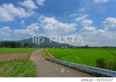 筑波山と里の風景 夏の里山 筑波山と里の風景 夏の里山 92550237