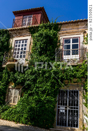 Old abandoned house covered with ivy Old abandoned house covered with ivy 92550921