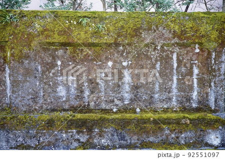 苔むしたコンクリートの壁 苔むしたコンクリートの壁 92551097