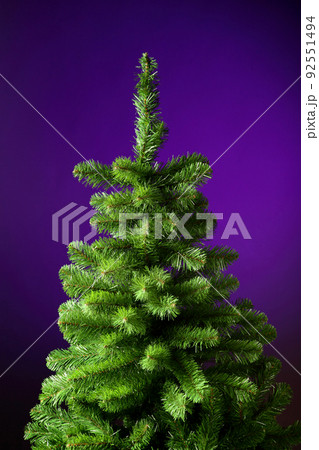 christmas tree without decorations christmas tree without decorations 92551494