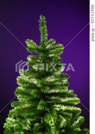 christmas tree without decorations 92551496