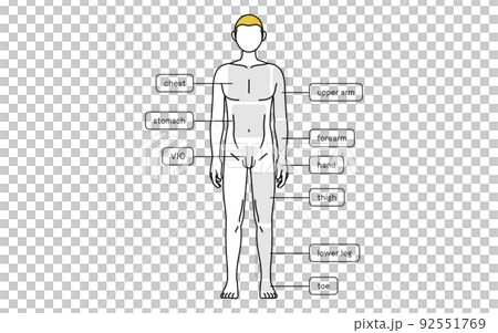 Men's hair removal, whole body (front) site guidance, naked body Men's hair removal, whole body (front) site guidance, naked body 92551769
