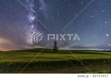 美瑛　クリスマスツリーの木　天の川 92553057