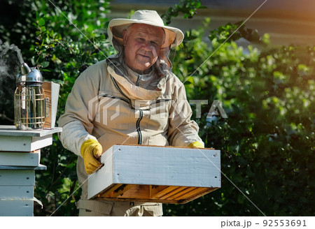 Beekeeper on apiary. Beekeeper is working with bees and beehives on the apiary. Apiculture. Copy space. 92553691