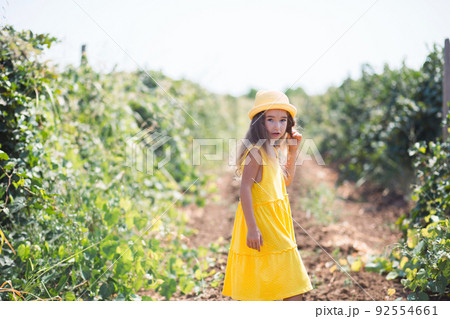 A tourist girl walks in a vineyard. Guided tour of the grape plantation. A tourist girl walks in a vineyard. Guided tour of the grape plantation. 92554661