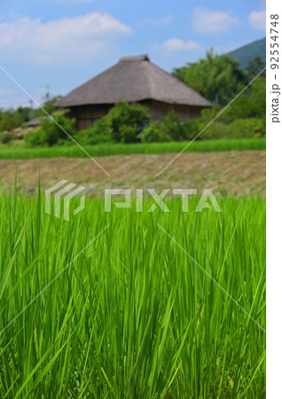 日本の里風景　つくばの原風景　夏の村日本の里風景　つくばの原風景　夏の村 92554748