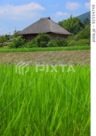 日本の里風景　つくばの原風景　夏の村 92554749