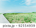 ハマナスの丘 92554939