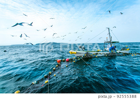 宮城県石巻市の漁師が定置網漁に出て働く様子 92555388