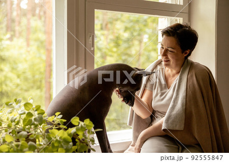 Middle age beautiful woman sitting on windowsill with her dog. 50-year-old woman spending time with her Mexican hairless dog at home. Xoloitzquintle, xolo breed. Dog as best friend, family member. 92555847