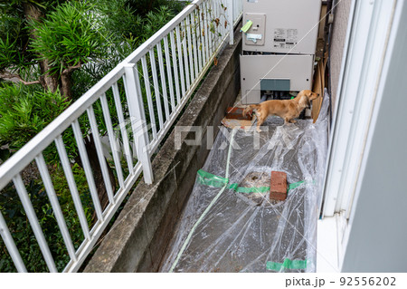 ウッドデッキ 土間コン張り ウッドデッキ 土間コン張り 92556202