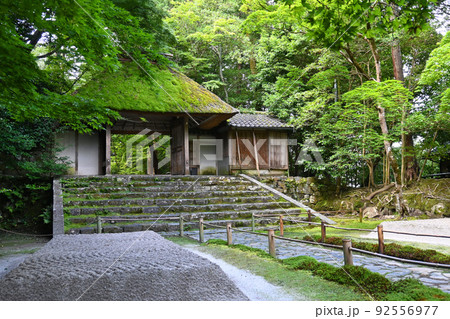 新緑の京都市の法然院山門が清々しい 92556977