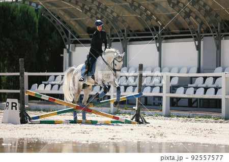 Equestrian sport. Portrait of young woman training at riding arena in summer day, outdoors. Dressage of horses. Horseback riding Equestrian sport. Portrait of young woman training at riding arena in summer day, outdoors. Dressage of horses. Horseback riding 92557577
