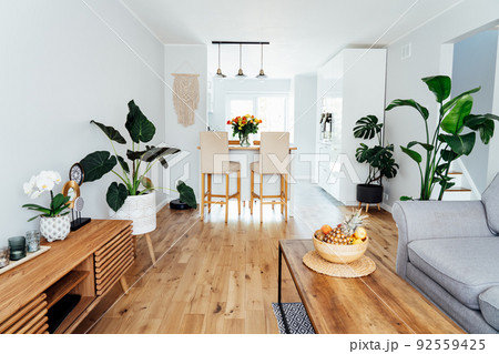Stylish scandinavian interior of open space living room with white kitchen. Modern furniture, wooden parquet floor and many green plants. Home interior design. Cozy home decor. Biophilia style Stylish scandinavian interior of open space living room with white kitchen. Modern furniture, wooden parquet floor and many green plants. Home interior design. Cozy home decor. Biophilia style 92559425