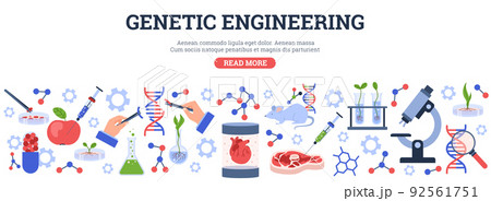 Website banner about genetic engineering flat style, vector illustration Website banner about genetic engineering flat style, vector illustration 92561751