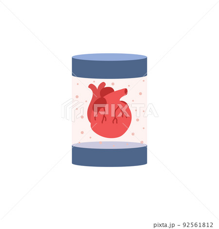 Anatomical heart in glass jar in special liquid flat style, vector illustration 92561812